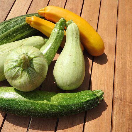 Courgette Gemengd (zaad)