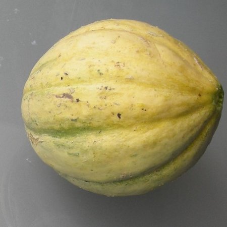 Meloen Vieille France (zaad)
