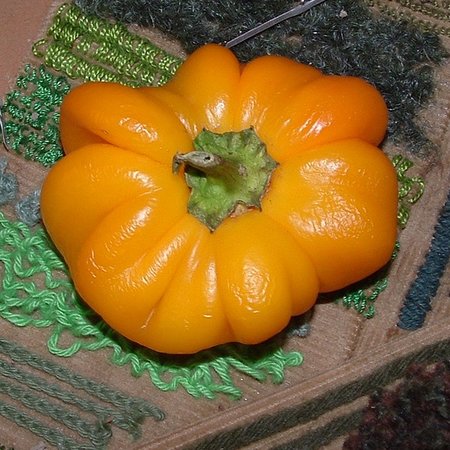 Poivron doux Mandarine (semences)