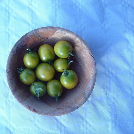 Tomate cerise Raisin vert (semences)