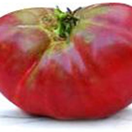 Roze tomaat Brandywine (zaad)