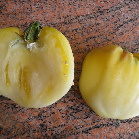 Tomate Coeur de Boeuf Blanche (semences)