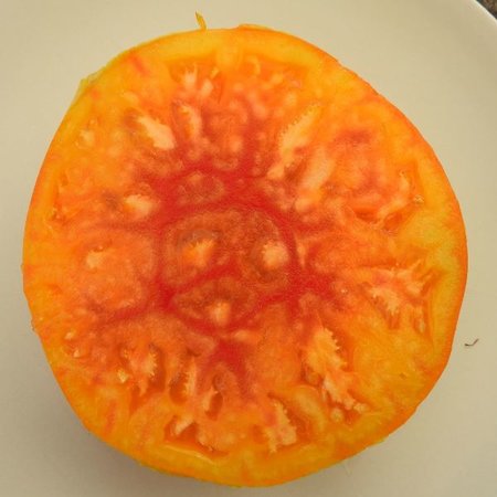Tomate Pamplemousse du Grand-Père (semences)