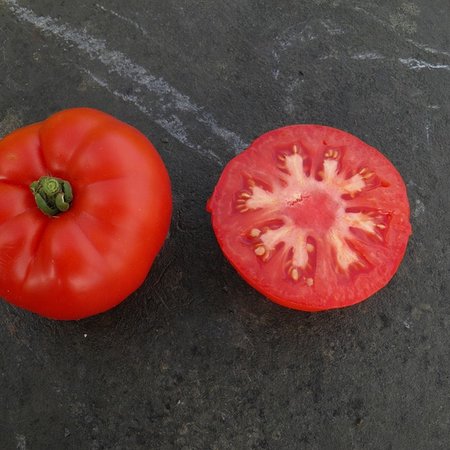 Tomate rouge de Namur (semences)