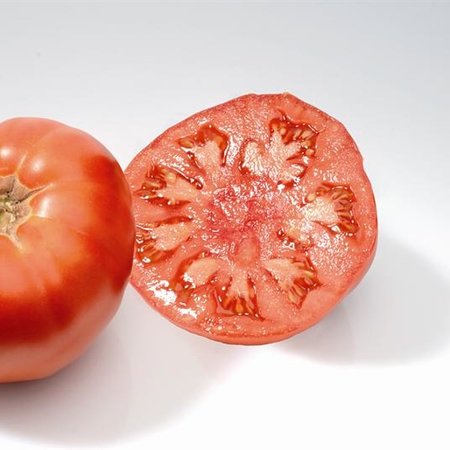 Tomate Marmande (semences)