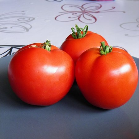 Tomate Merveille des serres (semences)