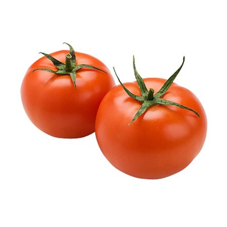 Tomate Moneymaker (semences)