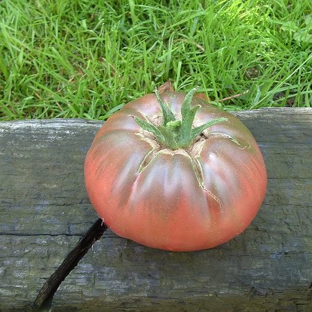 Tomate Noire de Crimée (semences)