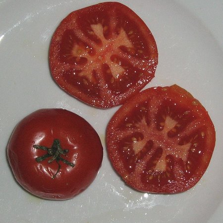 Tomate Potager de Vilvorde (semences)