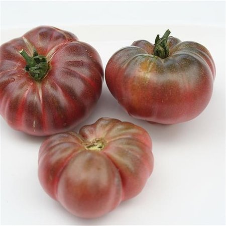 Tomate Purple Calabash (semences)
