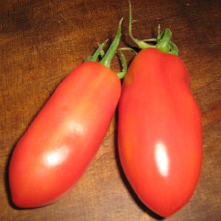 Tomate San Marzano (semences)