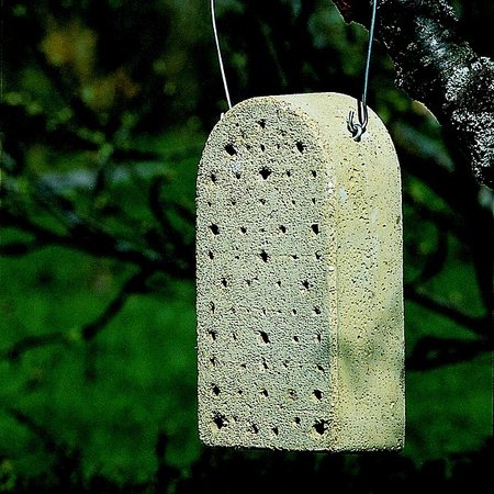 Abri pour insectes en béton de bois