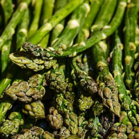 Asparagus officinalis 'Voltaire'