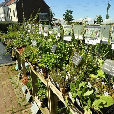 Border voor volle zon - eetbare planten