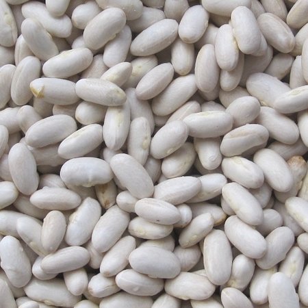 Haricot à rames à écosser Maïs Tarbais (semences)