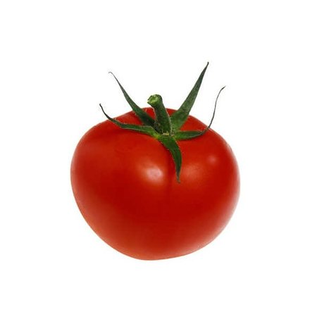 Tomate Monda (semences)