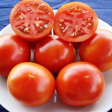 Tomate Burbank (semences)