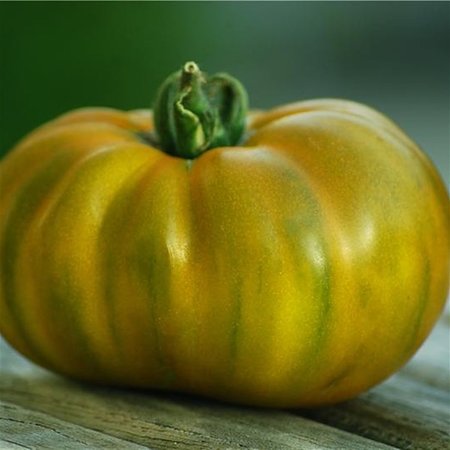 Tomate verte Evergreen (semences)