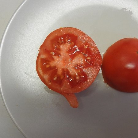 Tomate Reine des Hâtives (semences)