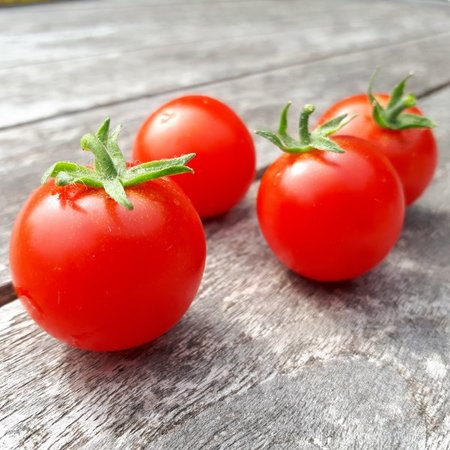 Tomate cerise Vilma Cherry (semences)