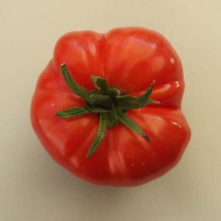 Tomate Chemin rouge hâtive (semences)