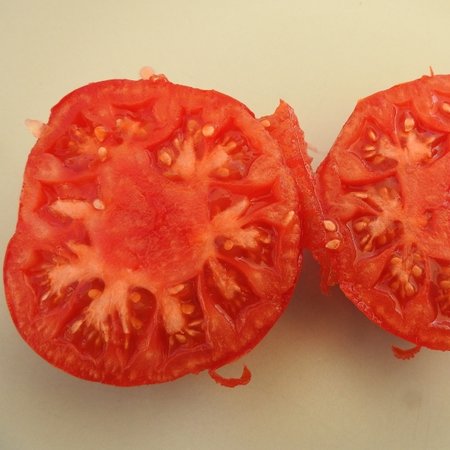 Tomate Chemin rouge hâtive (semences)