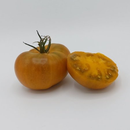 Tomate Bronze de Belgique (semences)