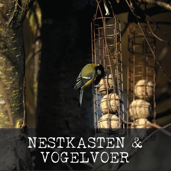 nestkasten-homepage