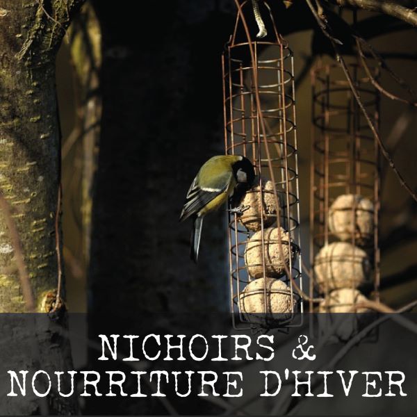 nichoirs-homepage